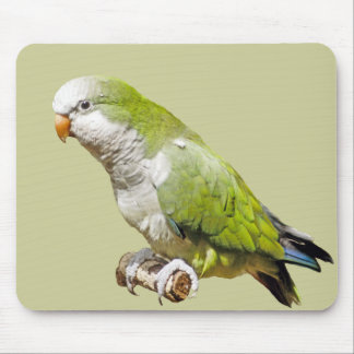 Monk Parakeet Mouse Mat