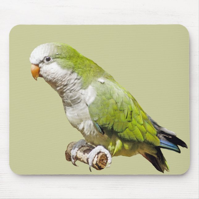Monk Parakeet Mouse Mat (Front)