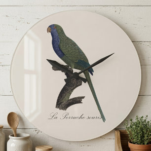 Monk Parakeet or Monk Parrot, Myiopsitta Monachus Large Clock