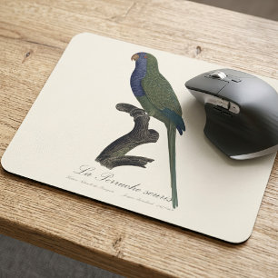 Monk Parakeet or Monk Parrot, Myiopsitta Monachus Mouse Mat