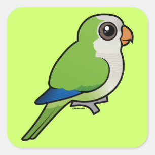 Monk Parakeet Square Sticker