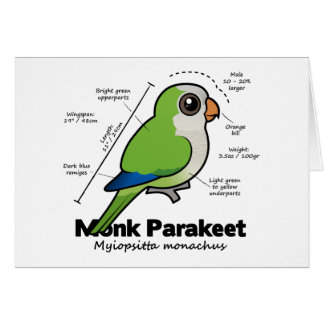 Monk Parakeet Statistics
