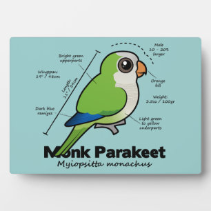 Monk Parakeet Statistics Plaque