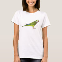 Monk Parakeet