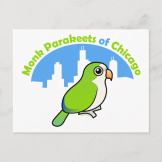 Monk Parakeets of Chicago Postcard