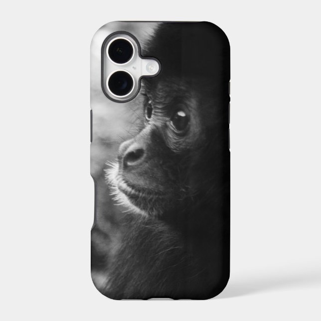 Monkey (Back)