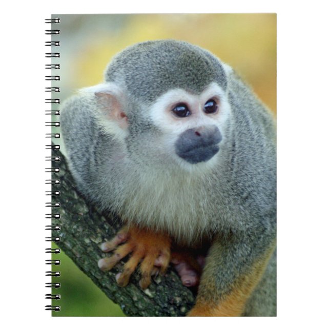 Monkey 004 notebook (Front)