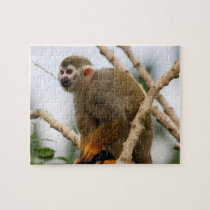 Monkey_2014_1201 Jigsaw Puzzle