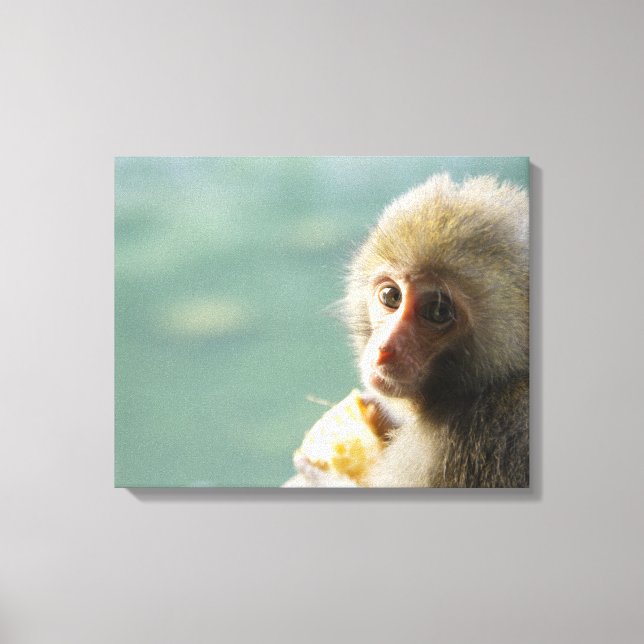 Monkey 3 canvas print (Front)