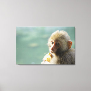 Monkey 3 canvas print