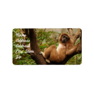 Monkey  Address Sticker