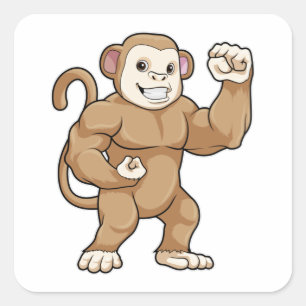 Monkey as Bodybuilder at Bodybuilding Square Sticker