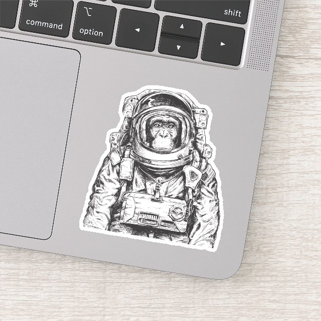 Monkey Astronaut (Detail)