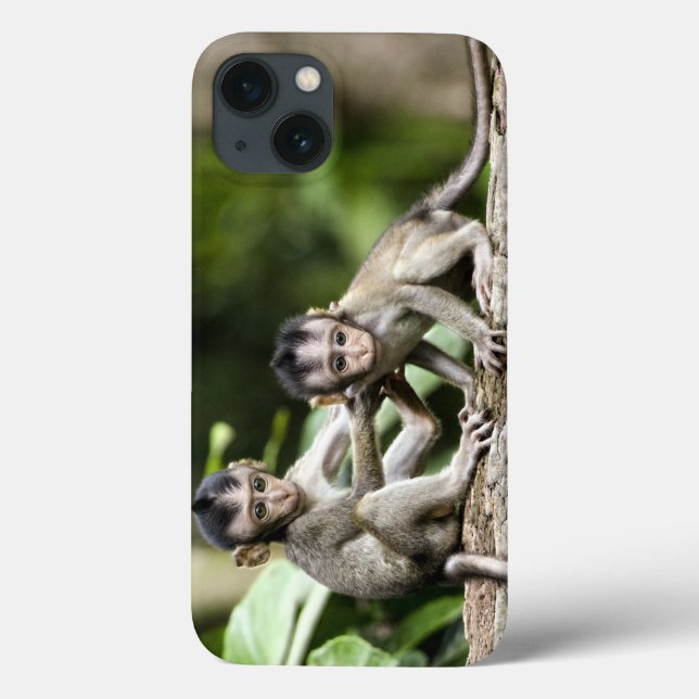 Monkey Babies in Nature Case-Mate iPhone Case (Back)