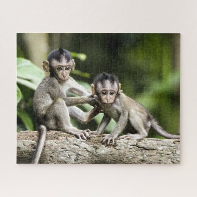 Monkey Babies in Nature Jigsaw Puzzle (Horizontal)