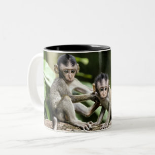 Monkey Babies in Nature Two-Tone Coffee Mug