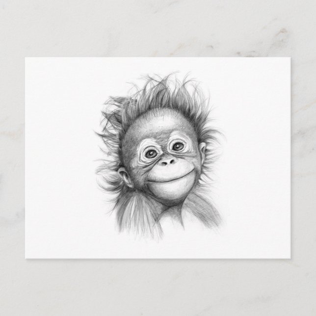 Monkey - Baby Orang outan 2016 G-121 Postcard (Front)