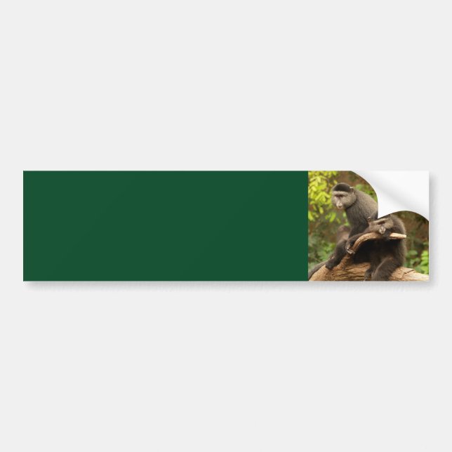 Monkey  Background Bumper Sticker (Front)