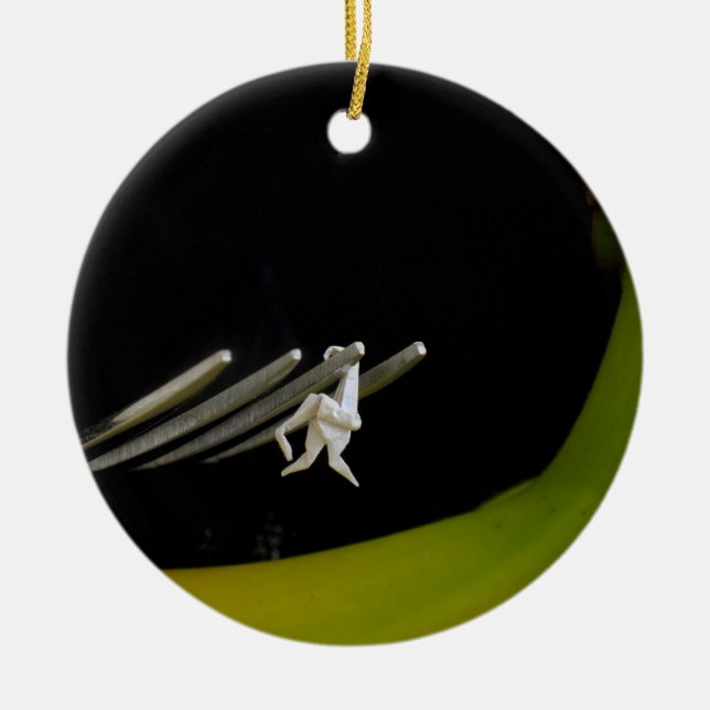 Monkey Bars Ceramic Tree Decoration (Front)