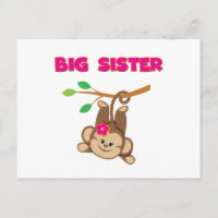 Monkey Big Sister