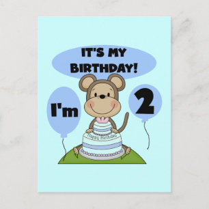 Monkey Birthday Boy 2nd Tshirts and Gifts Postcard