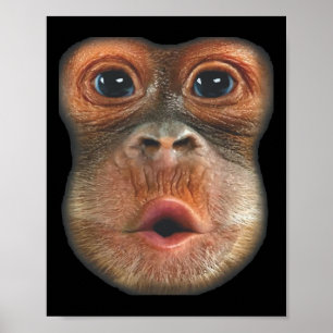 Monkey Blowing Stomach Face  Poster