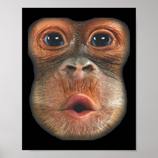Monkey Blowing Stomach Face  Poster (Front)
