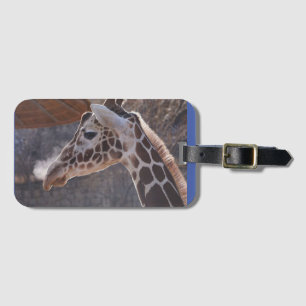 Monkey Boy Luggage Tag #1