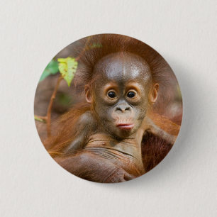 Monkey business 3 6 cm round badge