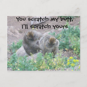 Monkey Business Postcard
