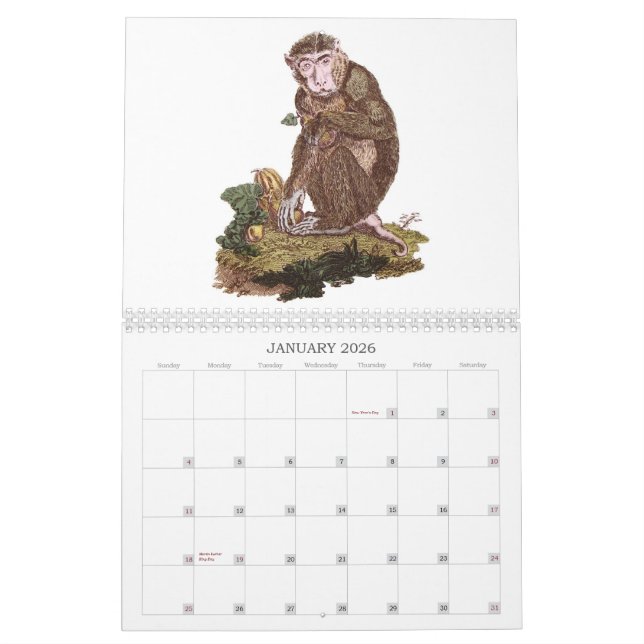 Monkey Calendar (Jan 2026)