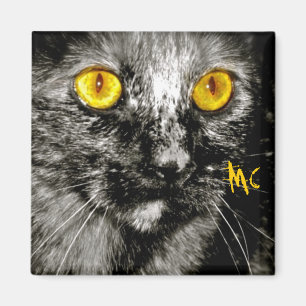 Monkey Cat Magnet