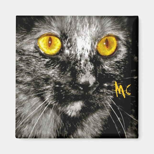 Monkey Cat Magnet (Front)