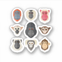 Monkey Chimpanzee Gorilla Spider Monkey Squirrel M