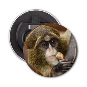 Monkey Climbing Tree Photo Bottle Opener