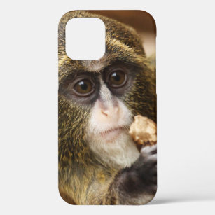 Monkey Climbing Tree Photo Case-Mate iPhone Case