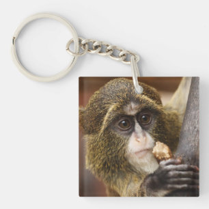 Monkey Climbing Tree Photo Key Ring