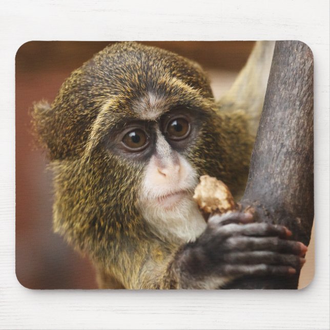 Monkey Climbing Tree Photo Mouse Mat (Front)