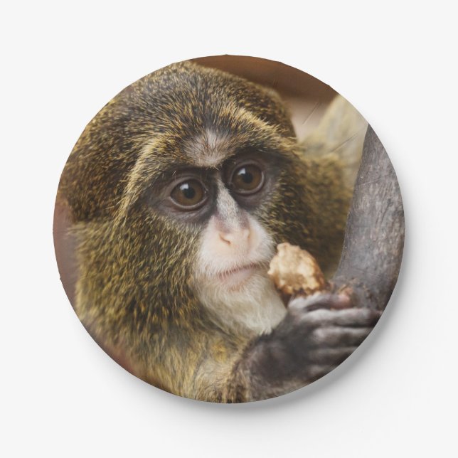 Monkey Climbing Tree Photo Paper Plate (Front)