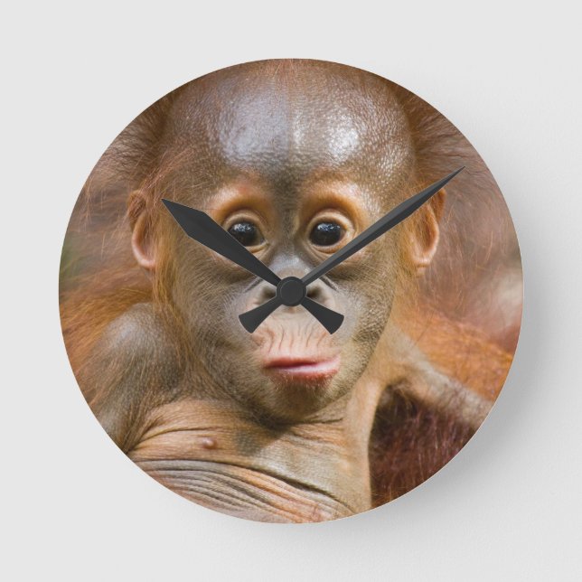 Monkey clock (Front)