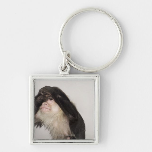 Monkey covering its eyes key ring (Front)