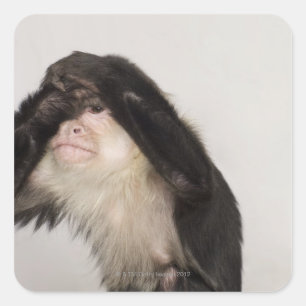 Monkey covering its eyes square sticker