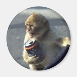 Monkey Drinking Magnet
