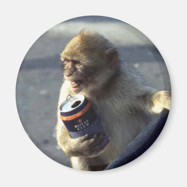 Monkey Drinking Magnet (Front)