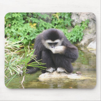 Monkey drinking mouse mat