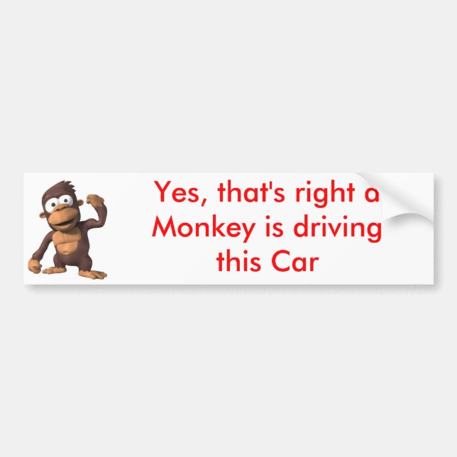 Monkey driving a Car Bumper Sticker (Front)
