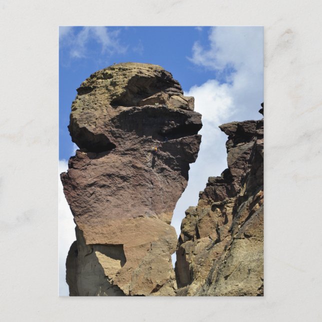 Monkey Face Postcard (Front)