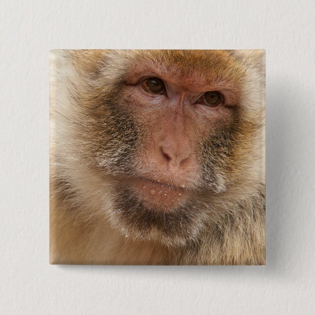 Monkey Face Square Pin (Front)