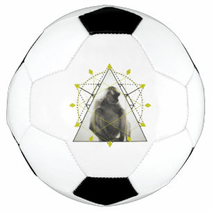 Monkey Geometry Football