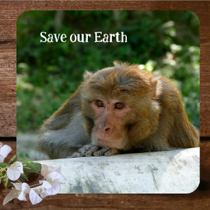 Monkey - Grandfather Paper Coaster